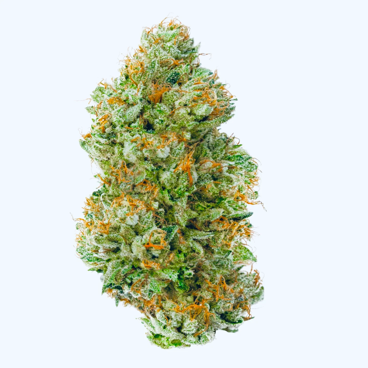london-pound-cake-strain-featured.jpg