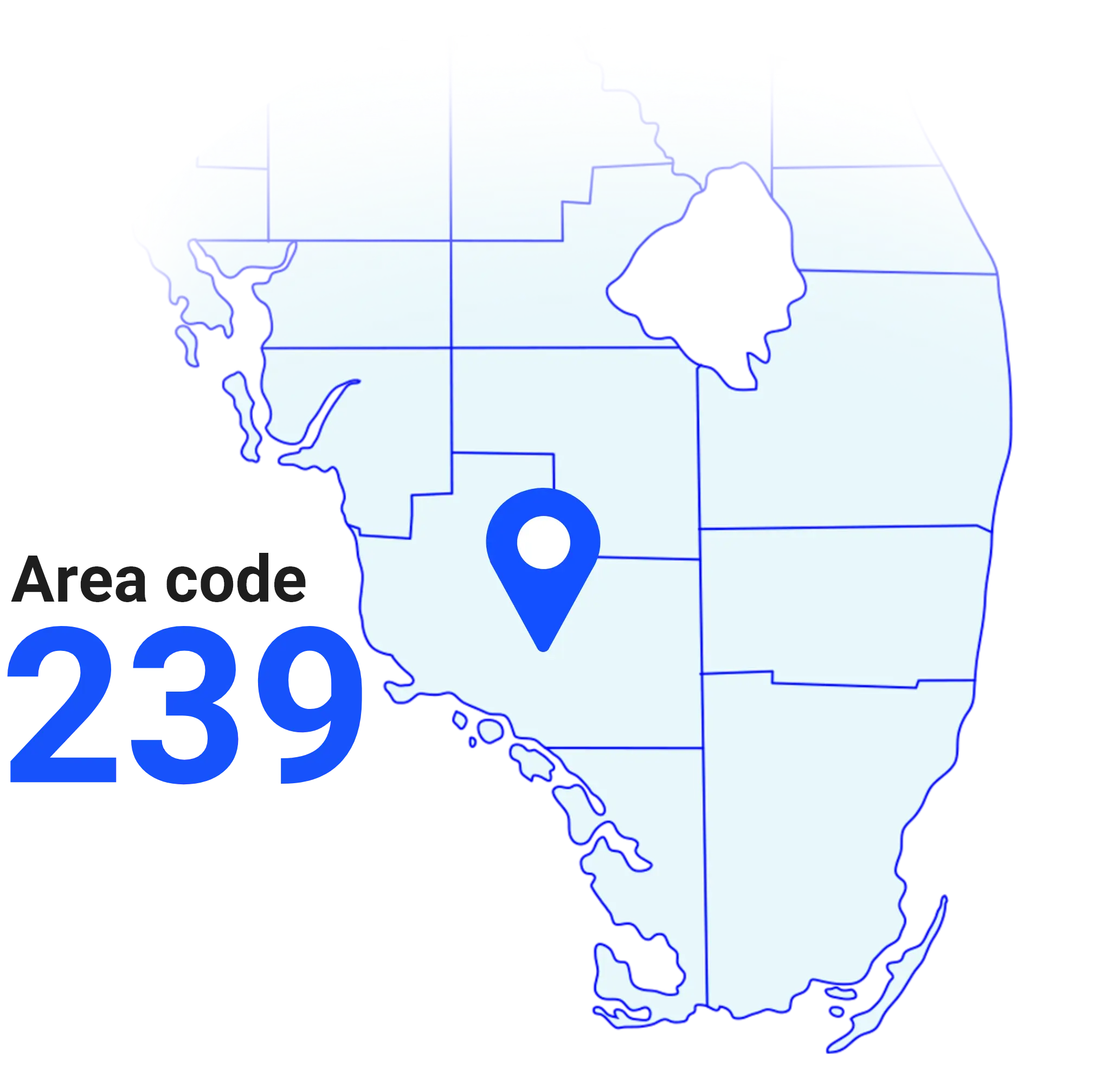 1-239-area-code.png