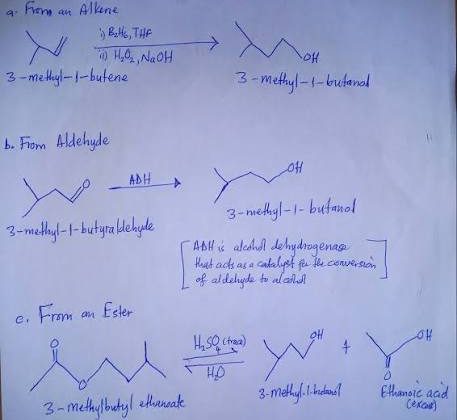 3-methyl-1-butanol-featured.jpg