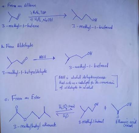 3-Methyl-1-Butanol: A Complete Guide to Properties, Uses, and Industrial Applications - Simple Trend Journal
