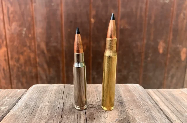 6th-bullet-featured.jpg
